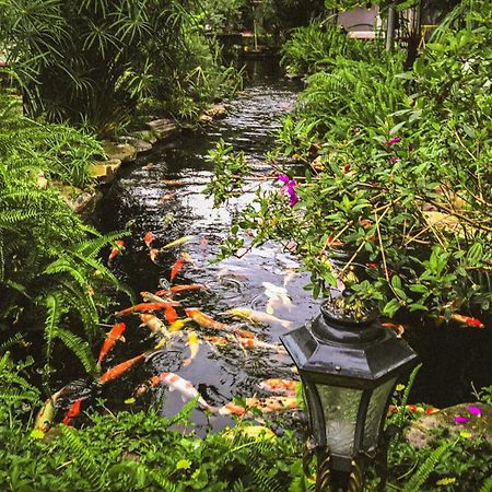 Window Homestay Tỉnh Kontum Zewnętrze zdjęcie