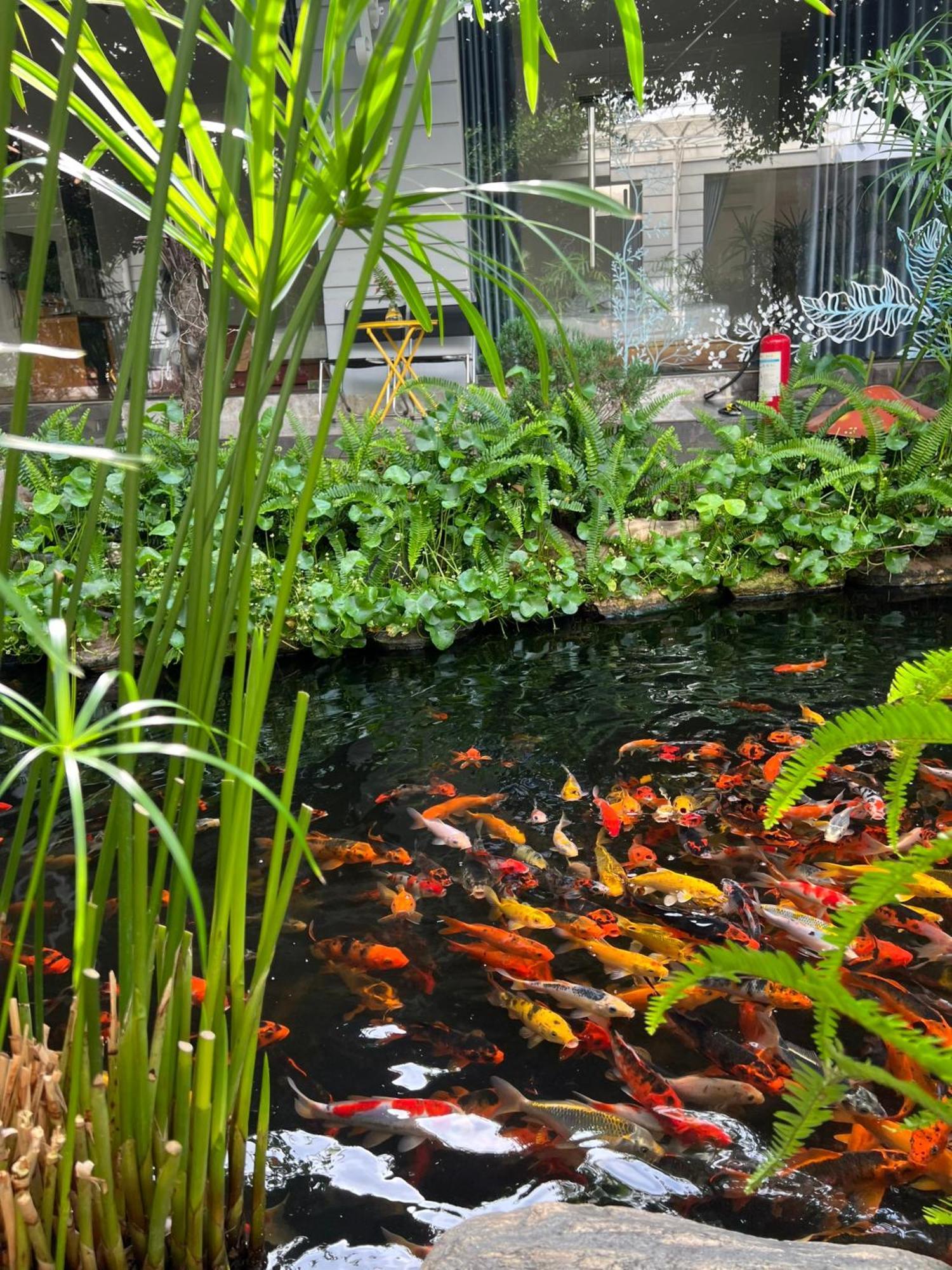Window Homestay Tỉnh Kontum Zewnętrze zdjęcie